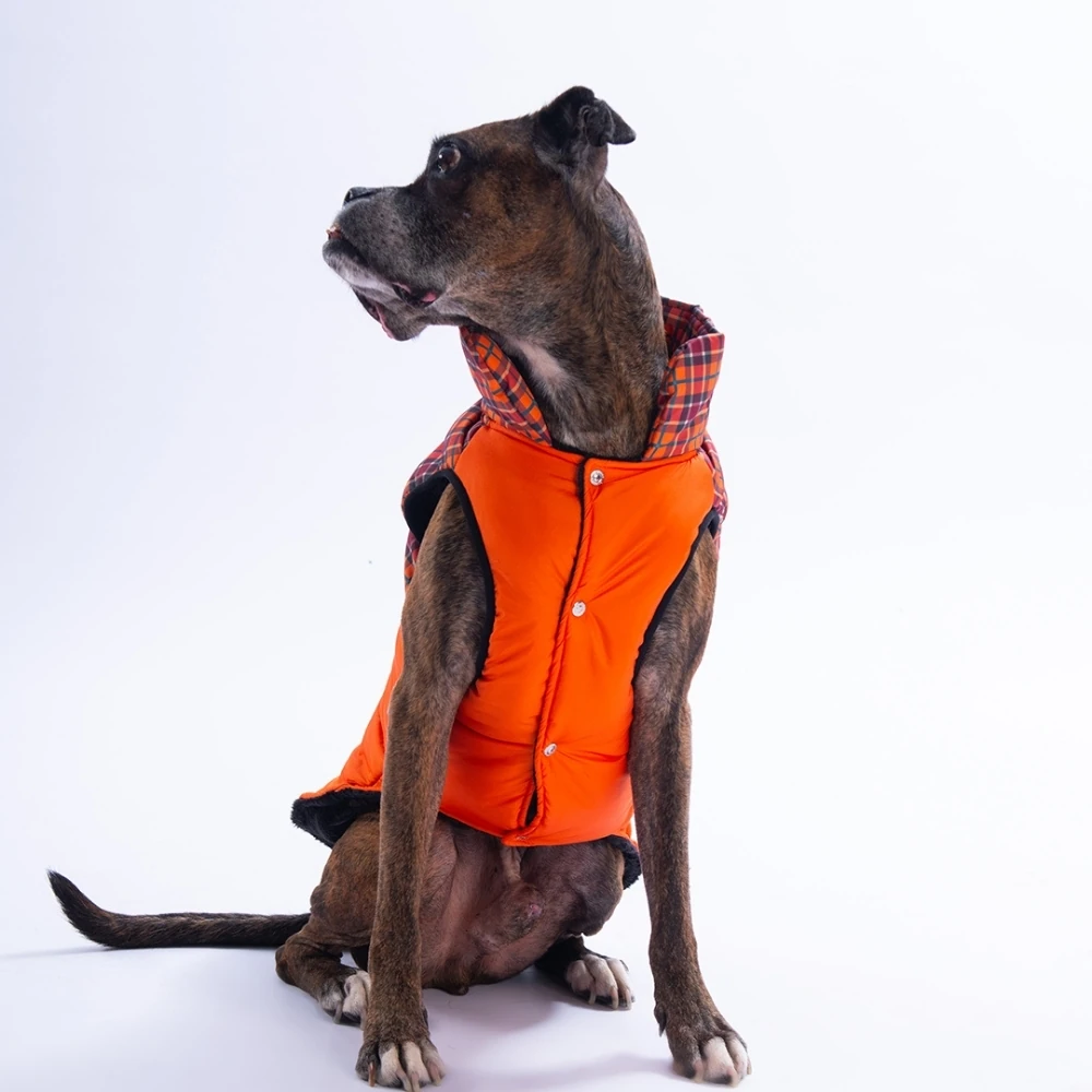 25151 Turuncu Elgin Paws Büyük Irk Yelek 5XL Beden-3