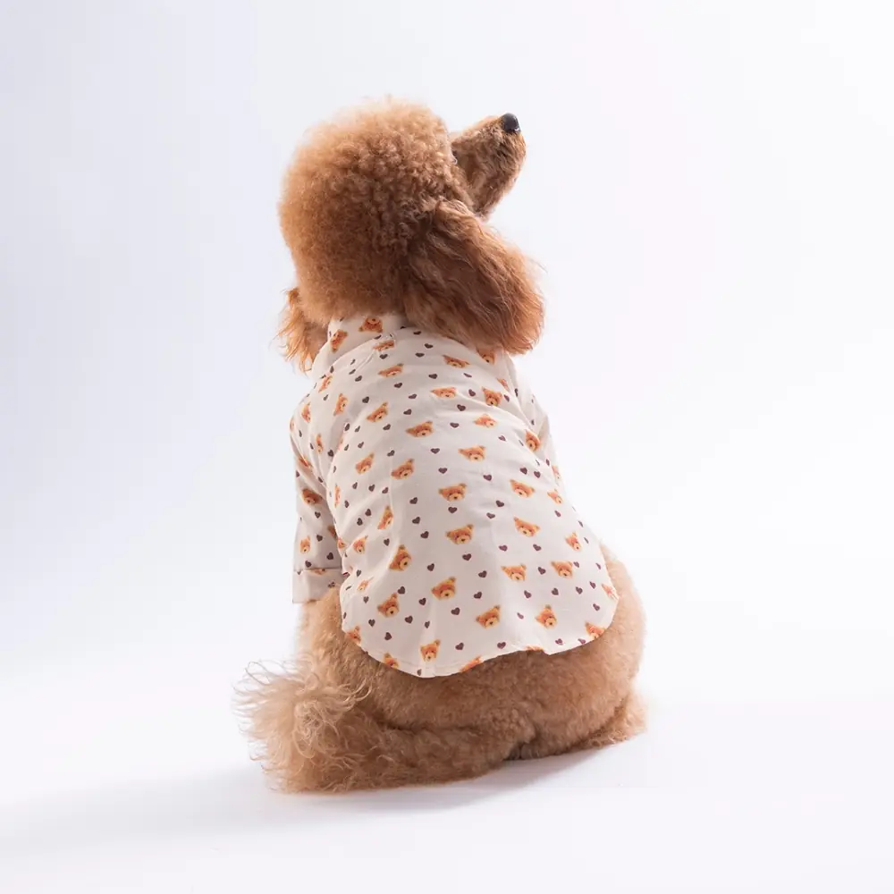 26404 Teddy Belle Desenli Gömlek XL Beden YPAW-1