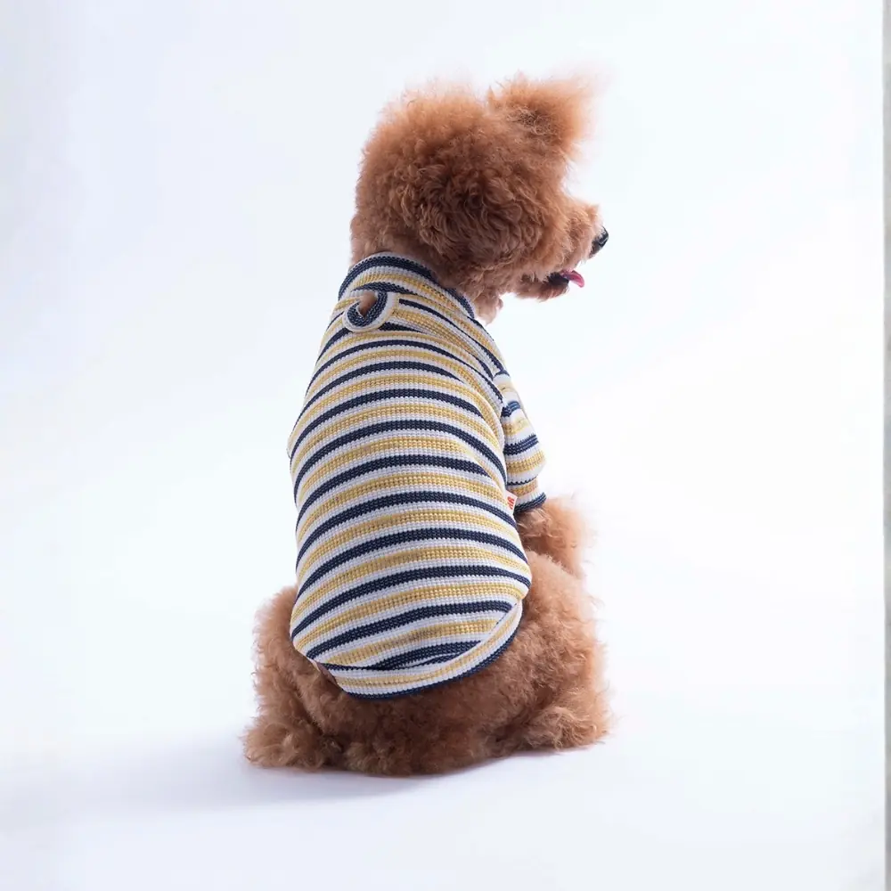 26727 Sarı Marseille Softline Sweat 2XL Beden KPAW-1