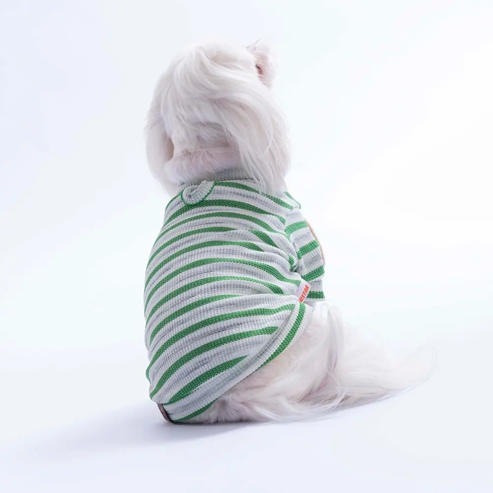 26731 Yeşil Marseille Softline Sweat XL Beden KPAW-1