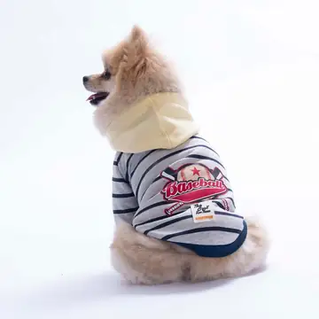 26733 Sarı Seattle Pitch Hoodie L Beden KPAW-1