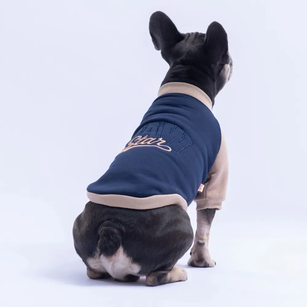26777 Lacivert Boston Pawstar Sweat XL Beden KPAW-1
