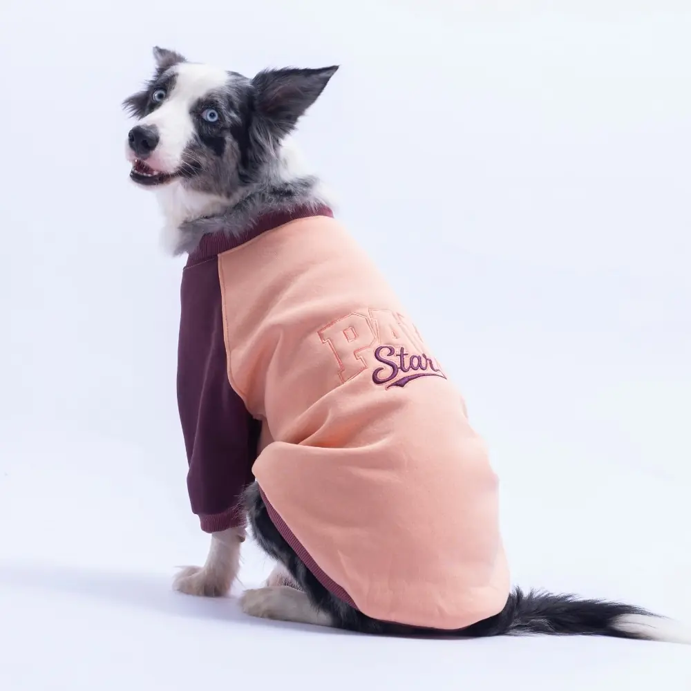 26784 Somon Boston Pawstar Büyük Irk Sweat 7XL Beden KPAW-1