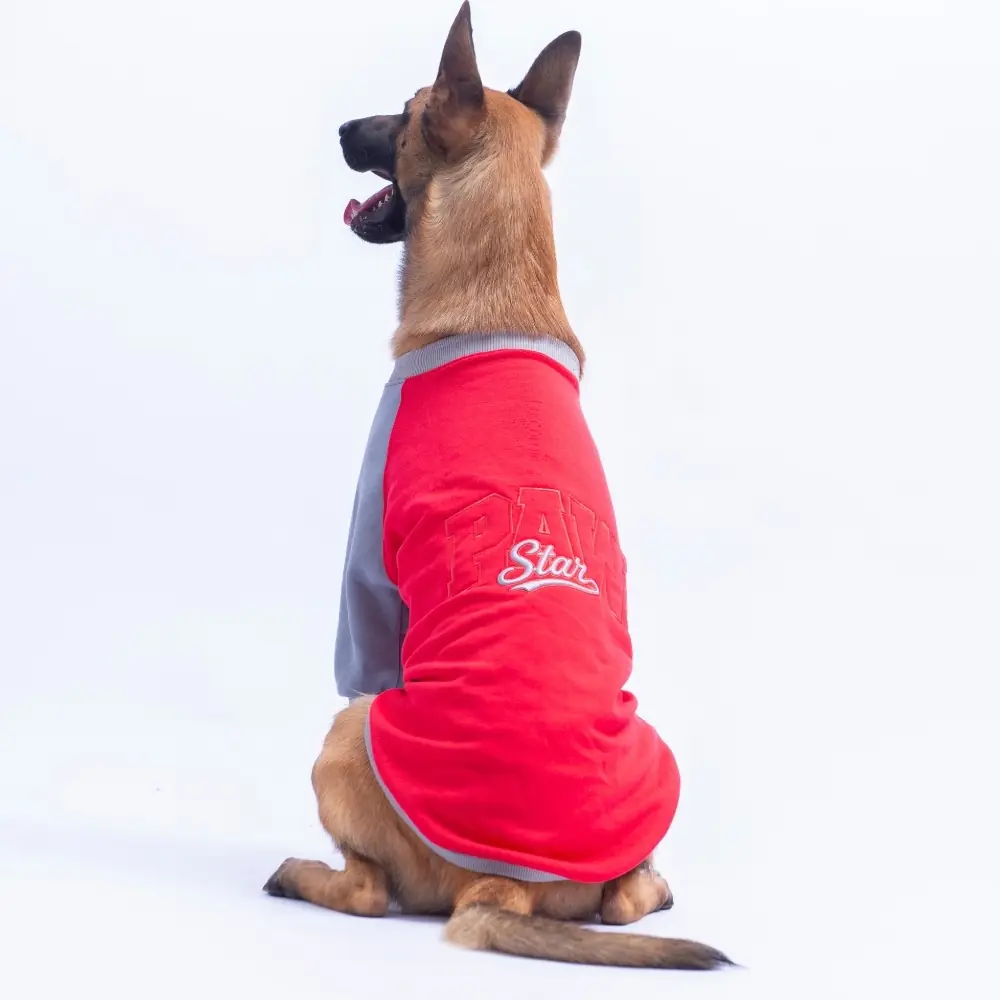 26788 Kırmızı Boston Pawstar Büyük Irk Sweat 3XL Beden KPAW-1