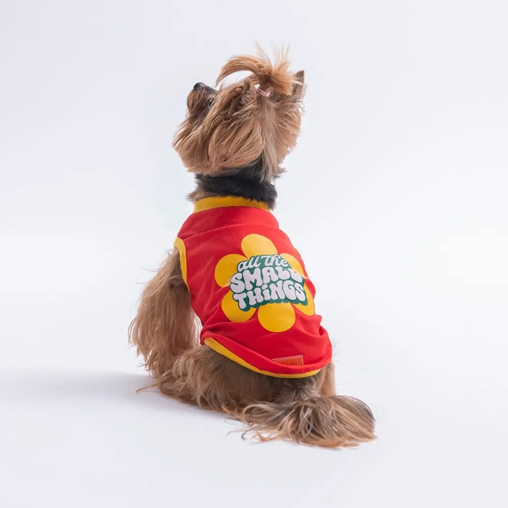 26804 Kırmızı Small Things Tişört 2XL Beden YPAW-1