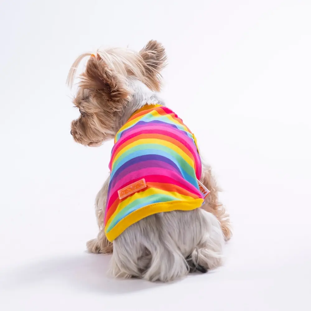 26829 Rainbow Tişört M Beden YPAW -1