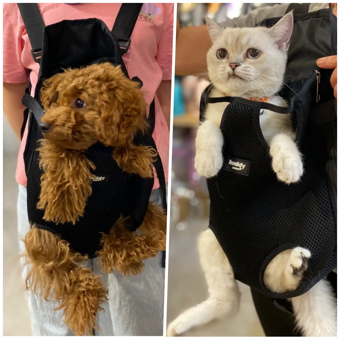 Ana kucağı - Kedi ve Köpekler için Kanguru Model M Beden-2