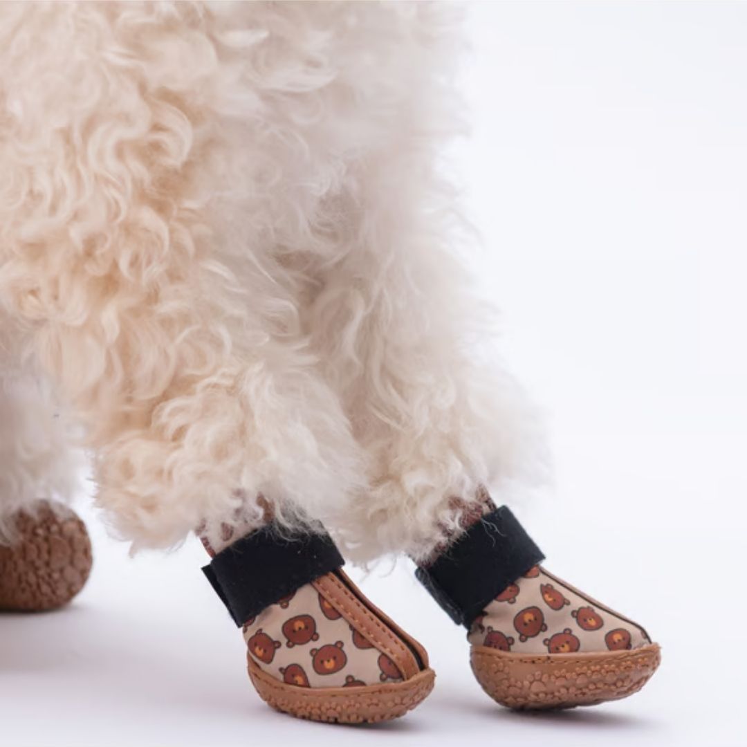 Bears Köpek Ayakkabısı PDS02 NO:5-3