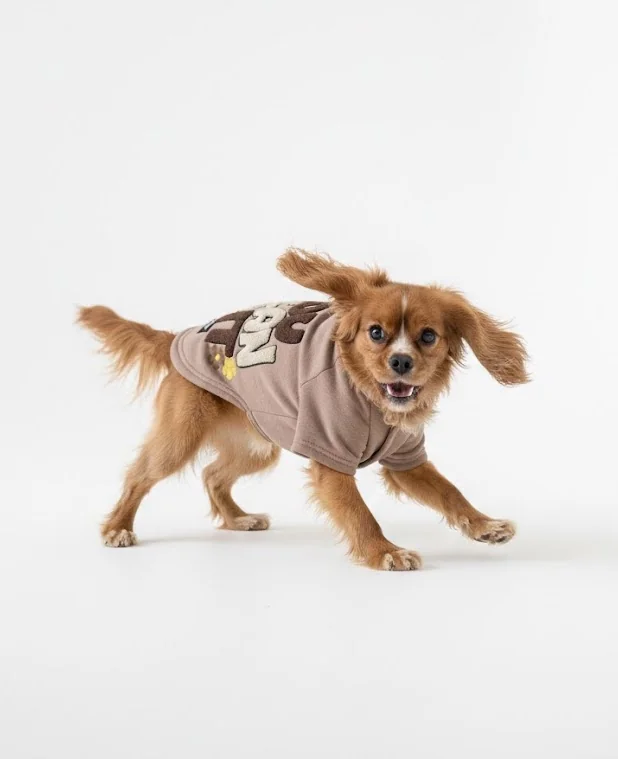 Bej Hakim Yaka Comfort Fit Köpek Sweat Ceketi (WarmFlex Koleksiyonu) XS Beden-3