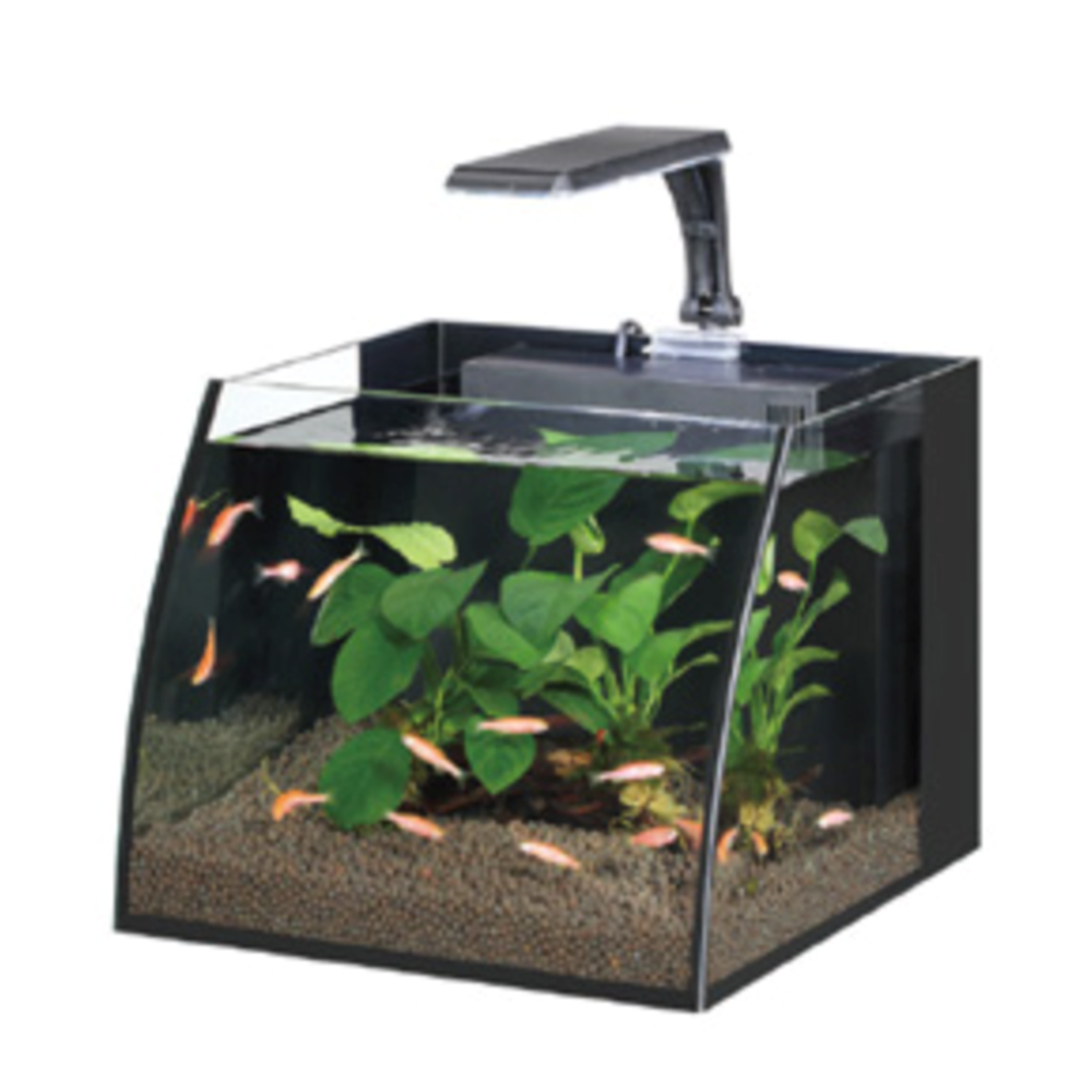 Belly Box 25 Led Aydınlatmalı Nano Akvaryum 11 Litre Siyah Renk-1