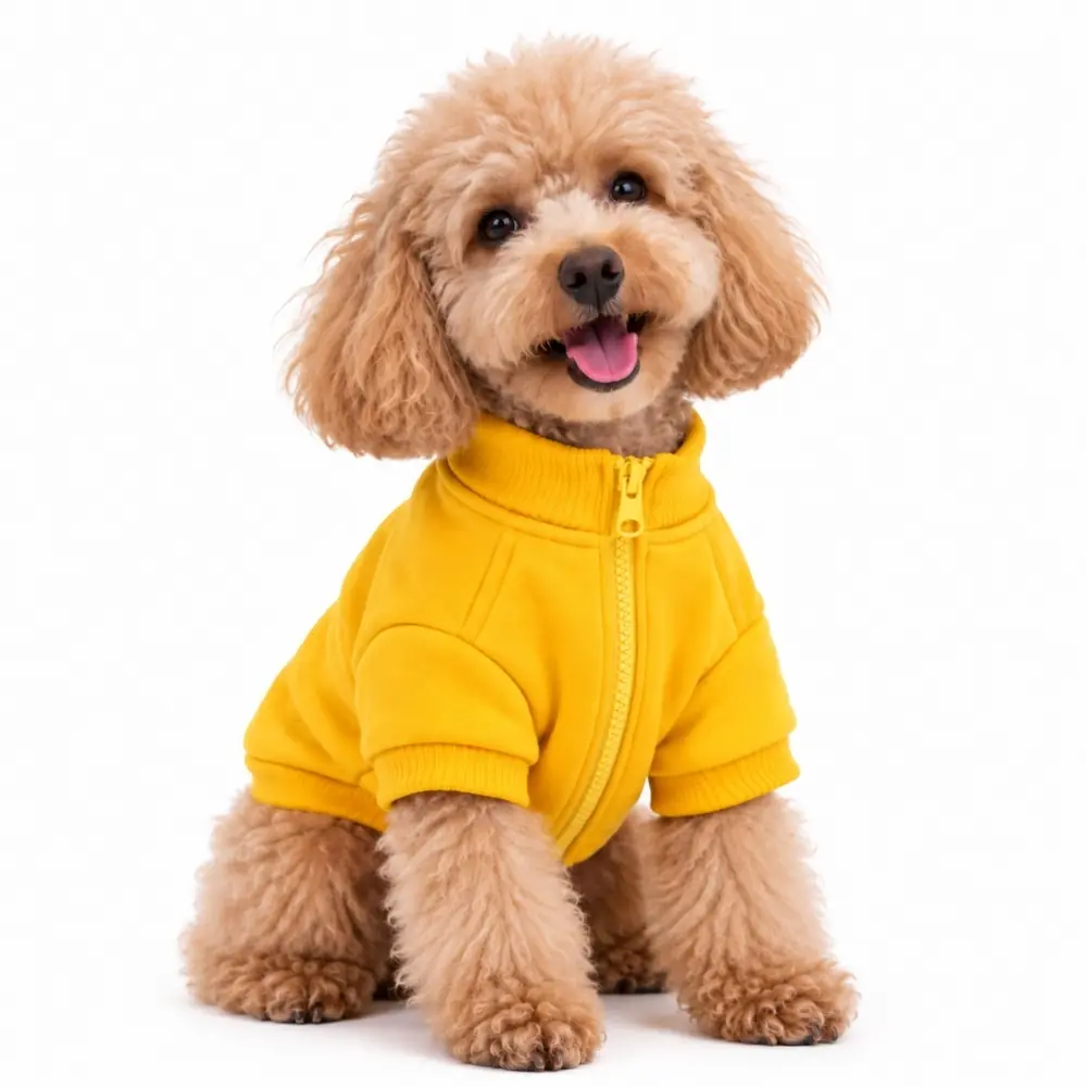 BNT-J2502 Sarı Logo Ceket S Beden-1