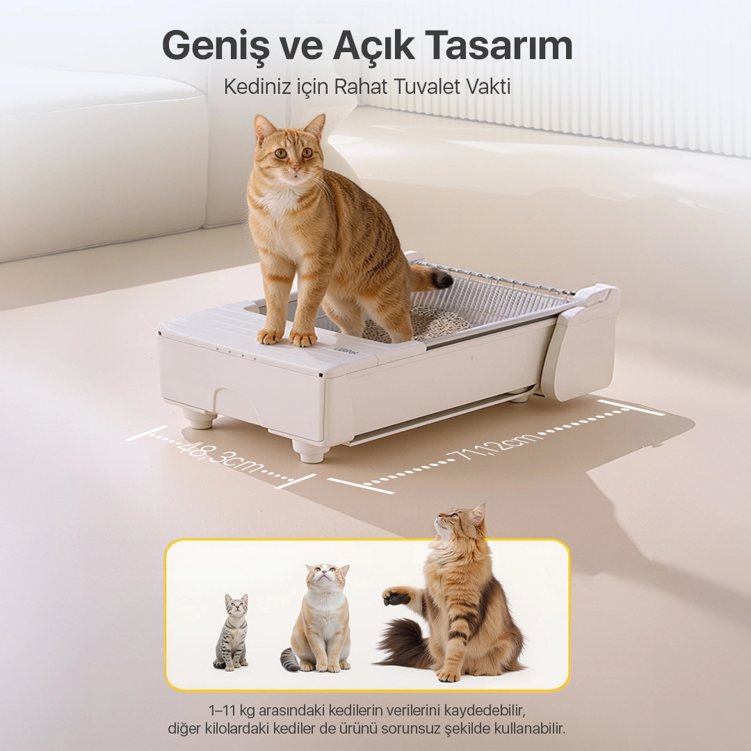 C31 Açık Tasarımlı Akıllı Otomatik Kedi Tuvaleti-2