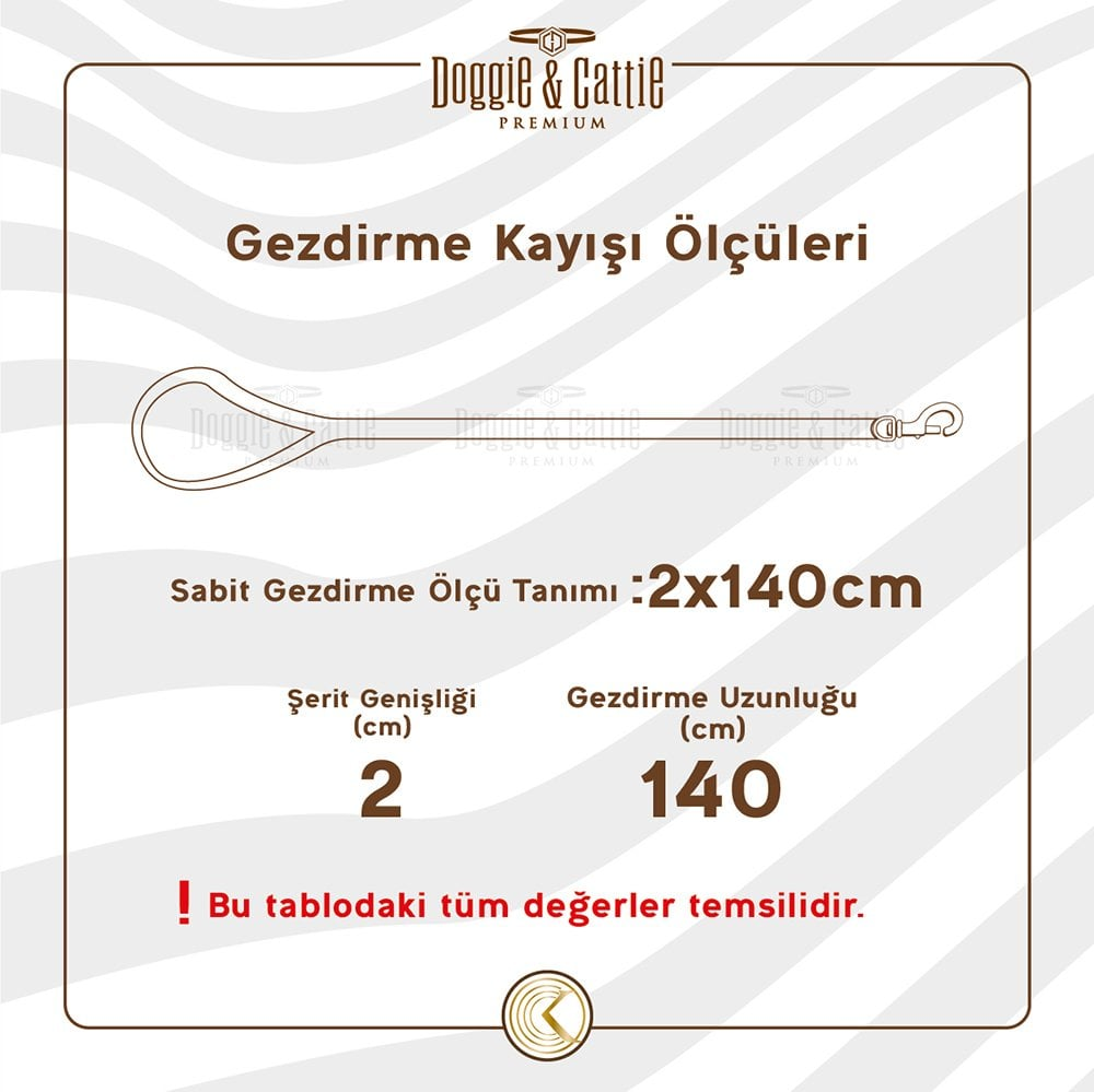 Deri Köpek Gezdirme Kayışı 2x140cm Mavi-4