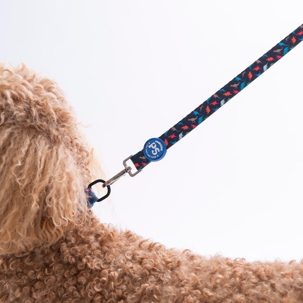 Dino Sevk Kayışı PAW-L13-3