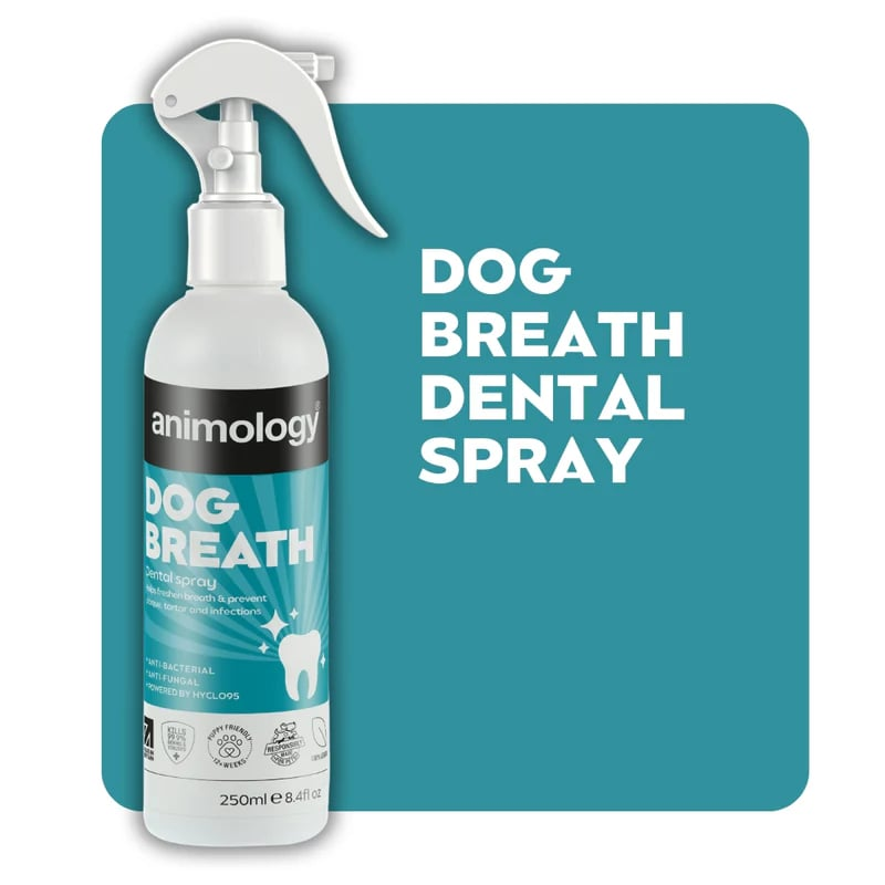 Dog Breath Dental Spray Köpek Nefes ve Diş Bakım Spreyi 250ml-3