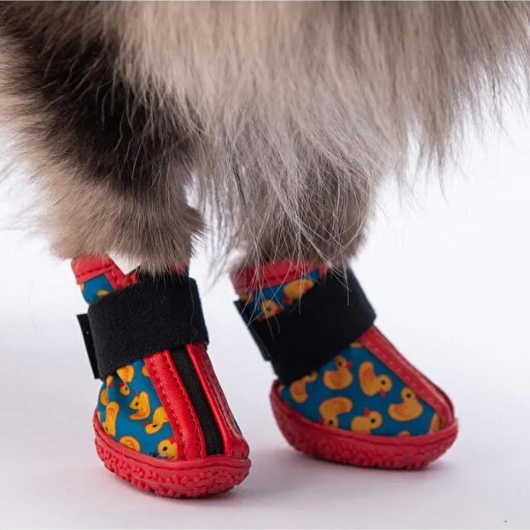 Ducks Köpek Ayakkabısı pds03 NO:6-3