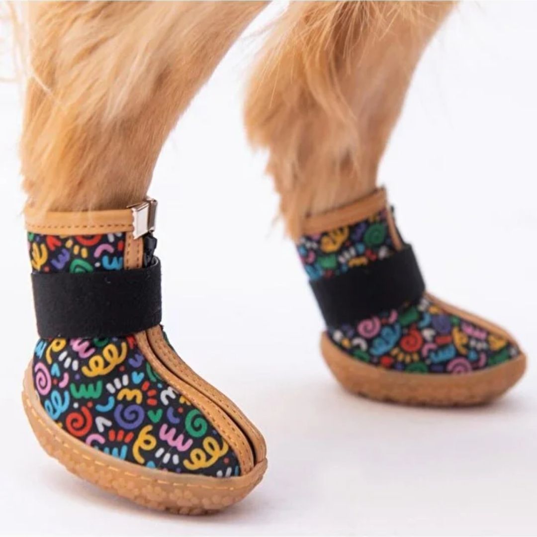 Ferrara Köpek Ayakkabısı PDS05 NO:2-3