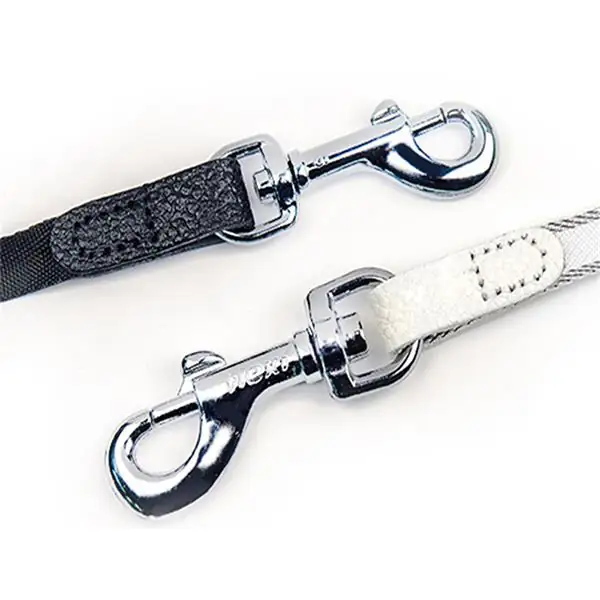 Flexi Style 5 Metre Şerit Otomatik Gezdirme Tasması -3