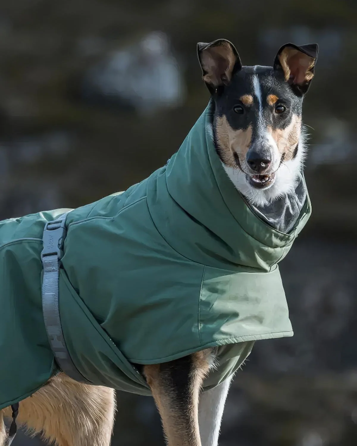 Folyo Astarlı Kapüşonlu Su ve Rüzgar Geçirmez Isıtıcı Köpek Kış Montu Füme Renk-2