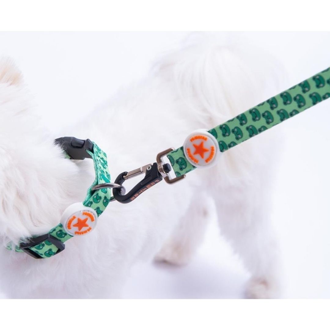 Frog Boyun Tasması S Beden - DC33-3