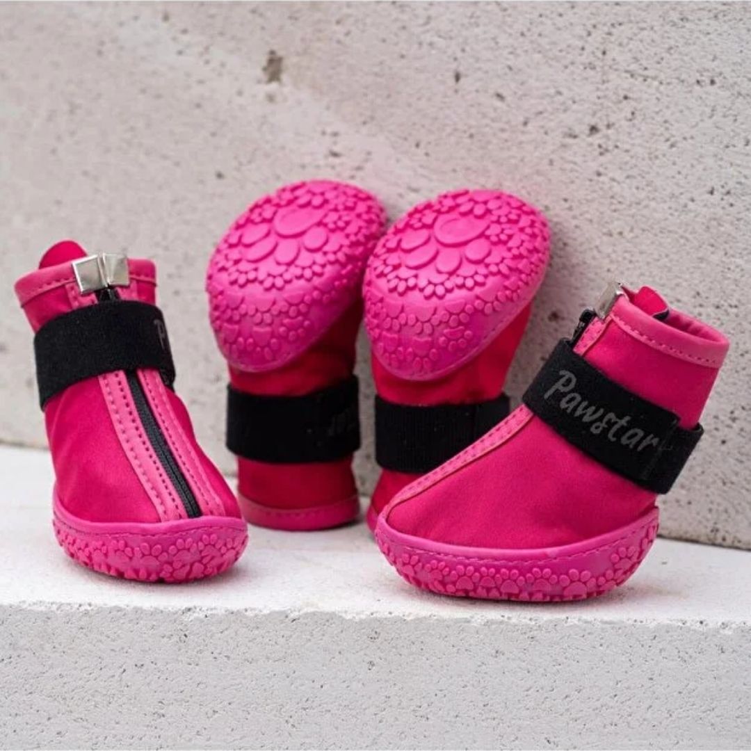 Fuşya Köpek Ayakkabısı PDS08 NO:3-1