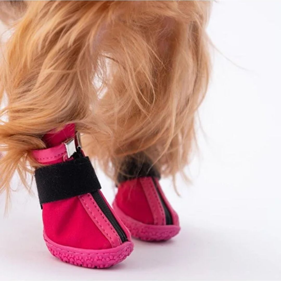 Fuşya Köpek Ayakkabısı PDS08 NO:3-3