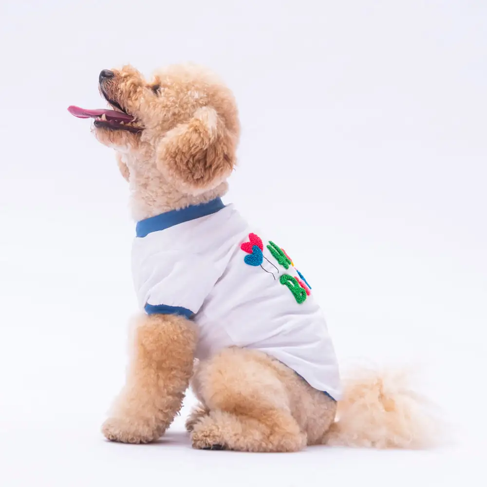 Happy Birthday Sweat 2XL KPAW-24733-2