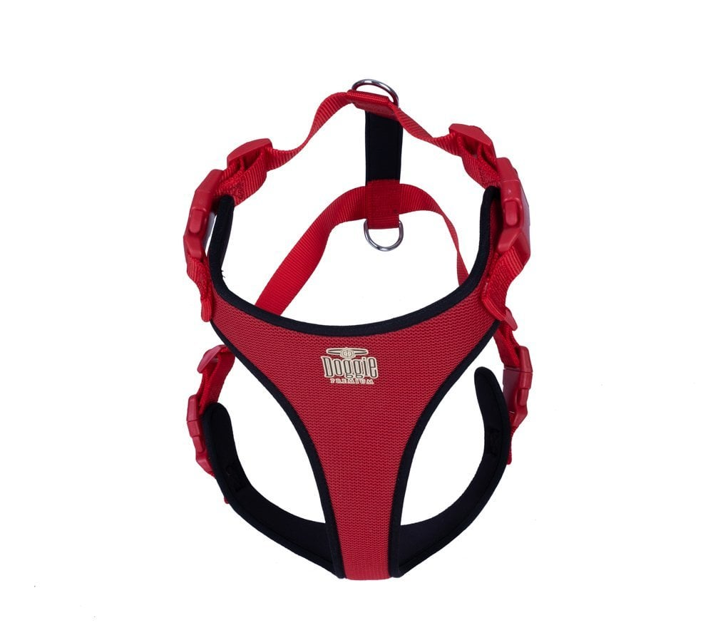 Havalı Dokumadan El Yapımı Köpek Göğüs Tasması 2XL-2x70-80cm - Kırmızı-2