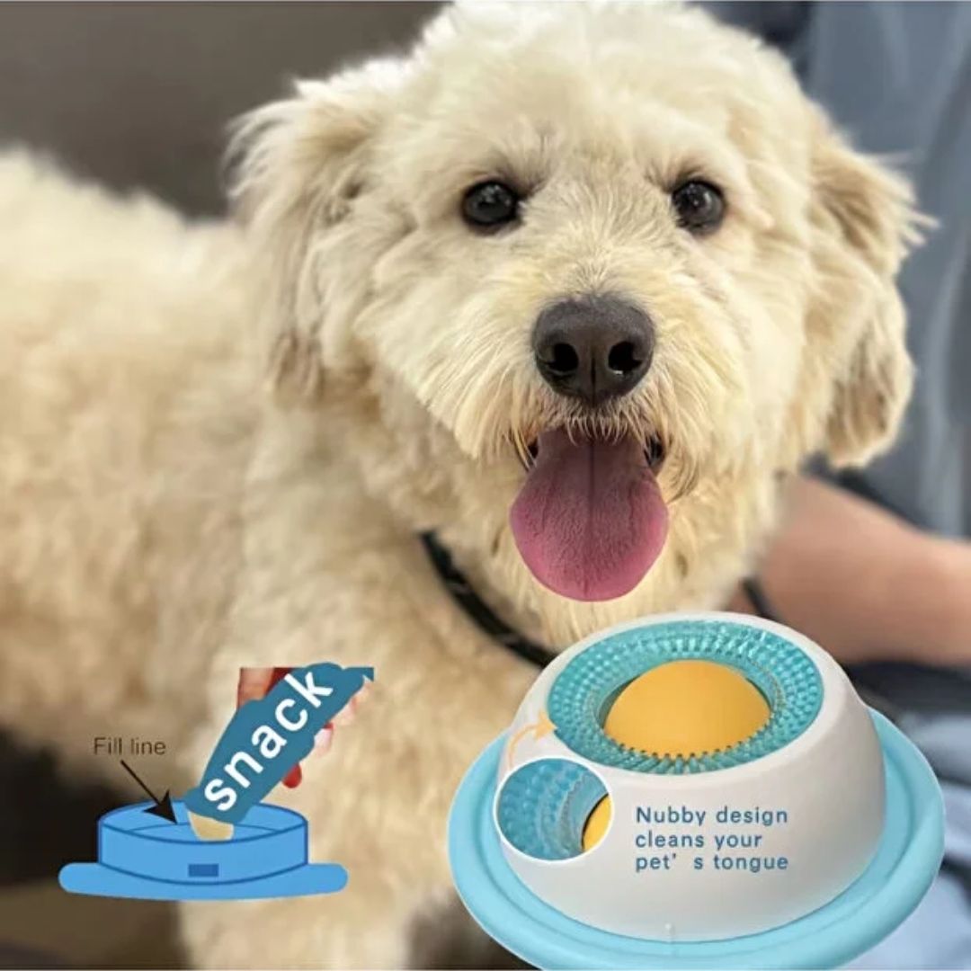Kedi Ve Köpek Yavaş Yeme Sıvı Yalama Kabı-2