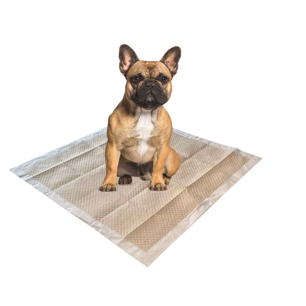 Eco Bamboo Köpek Çiş Eğitim Pedi 60X60cm 50pcs brsp-10122199 -1