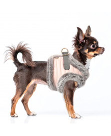 Hermine Köpek Göğüs Tasması-2