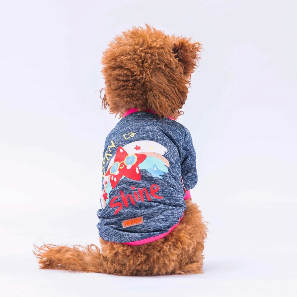 24727 Anthracit Shine Sweat 2XL Beden-1