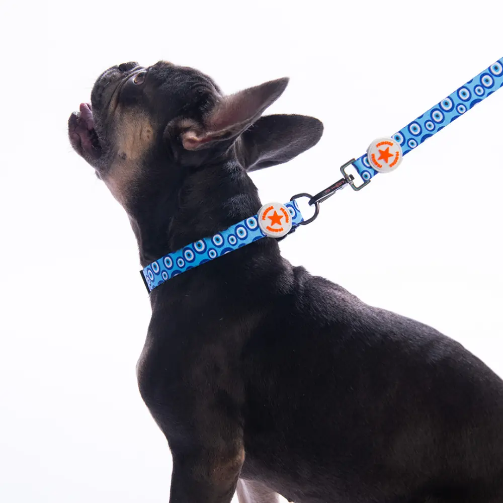 Charm Boyun Tasması M Beden - DC38-3