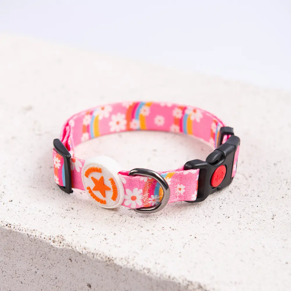 Daisy Boyun Tasması M Beden - DC35-2