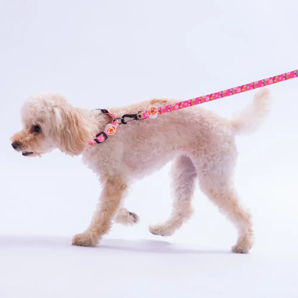 Daisy Boyun Tasması M Beden - DC35-3