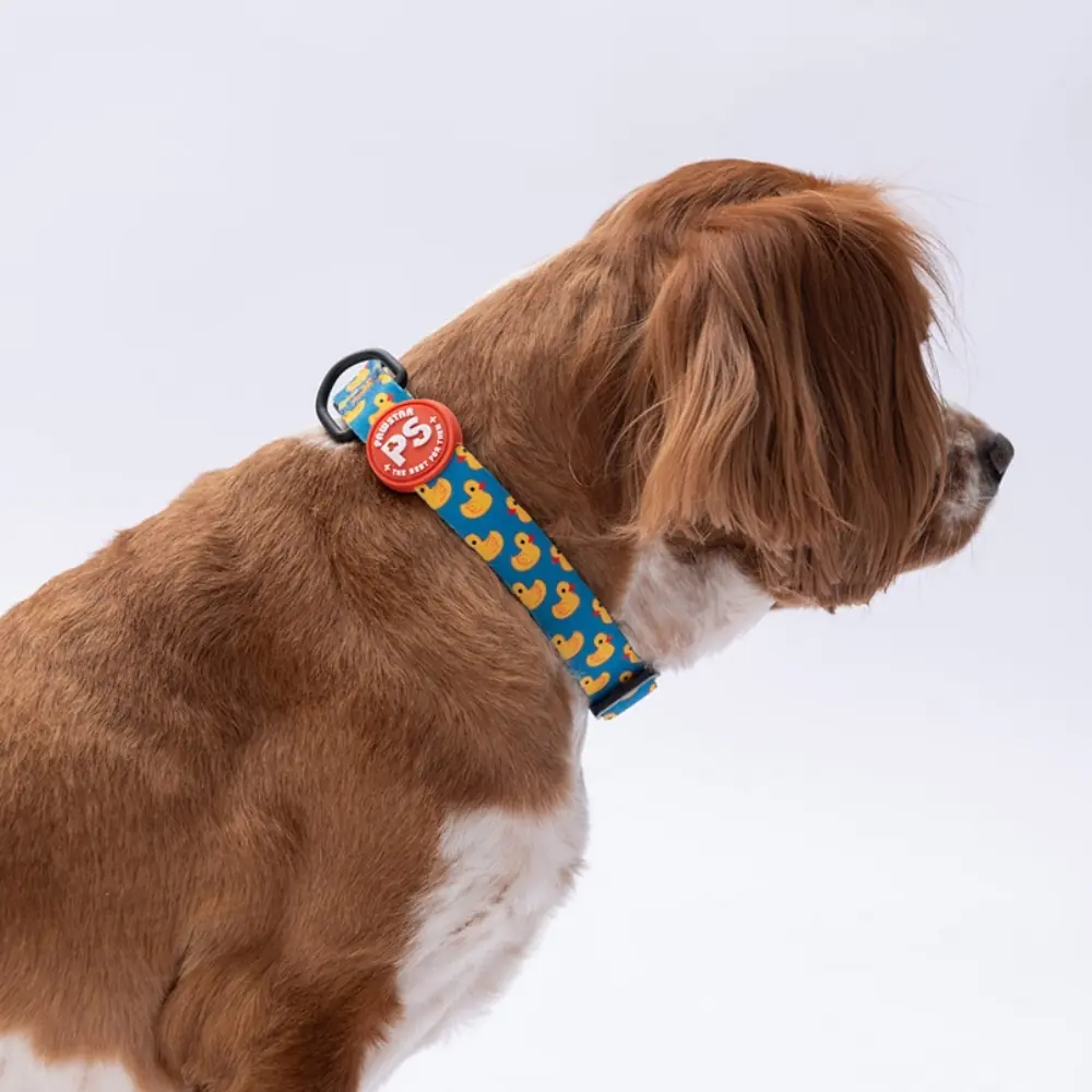 Ducks Boyun Tasması M Beden - DC28-1