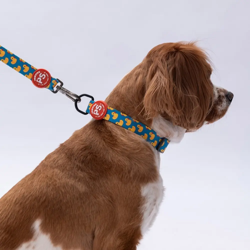 Ducks Boyun Tasması M Beden - DC28-3