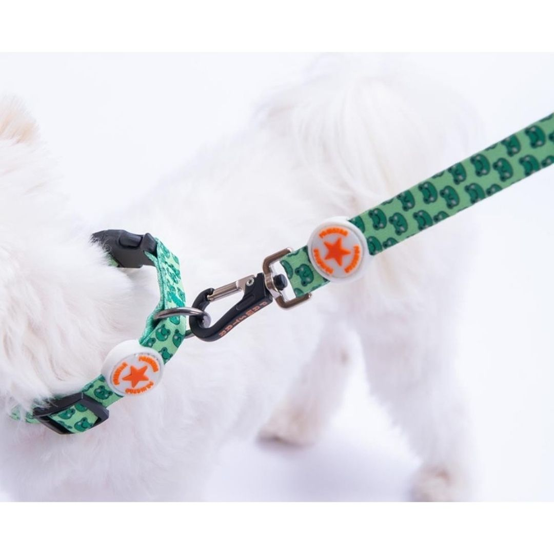 Frog Boyun Tasması M Beden - DC33-3