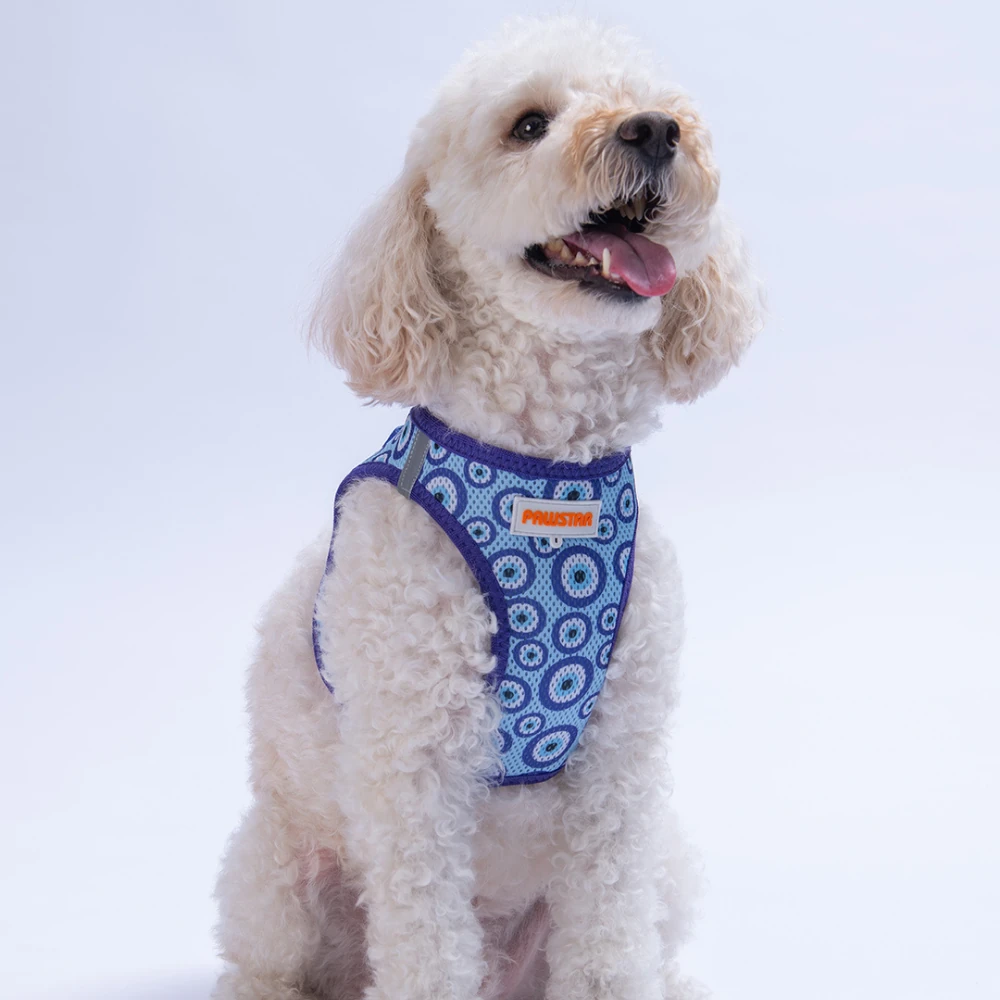 Göğüs Tasması Charm Air Mesh 2XS Beden Paw-A38-1