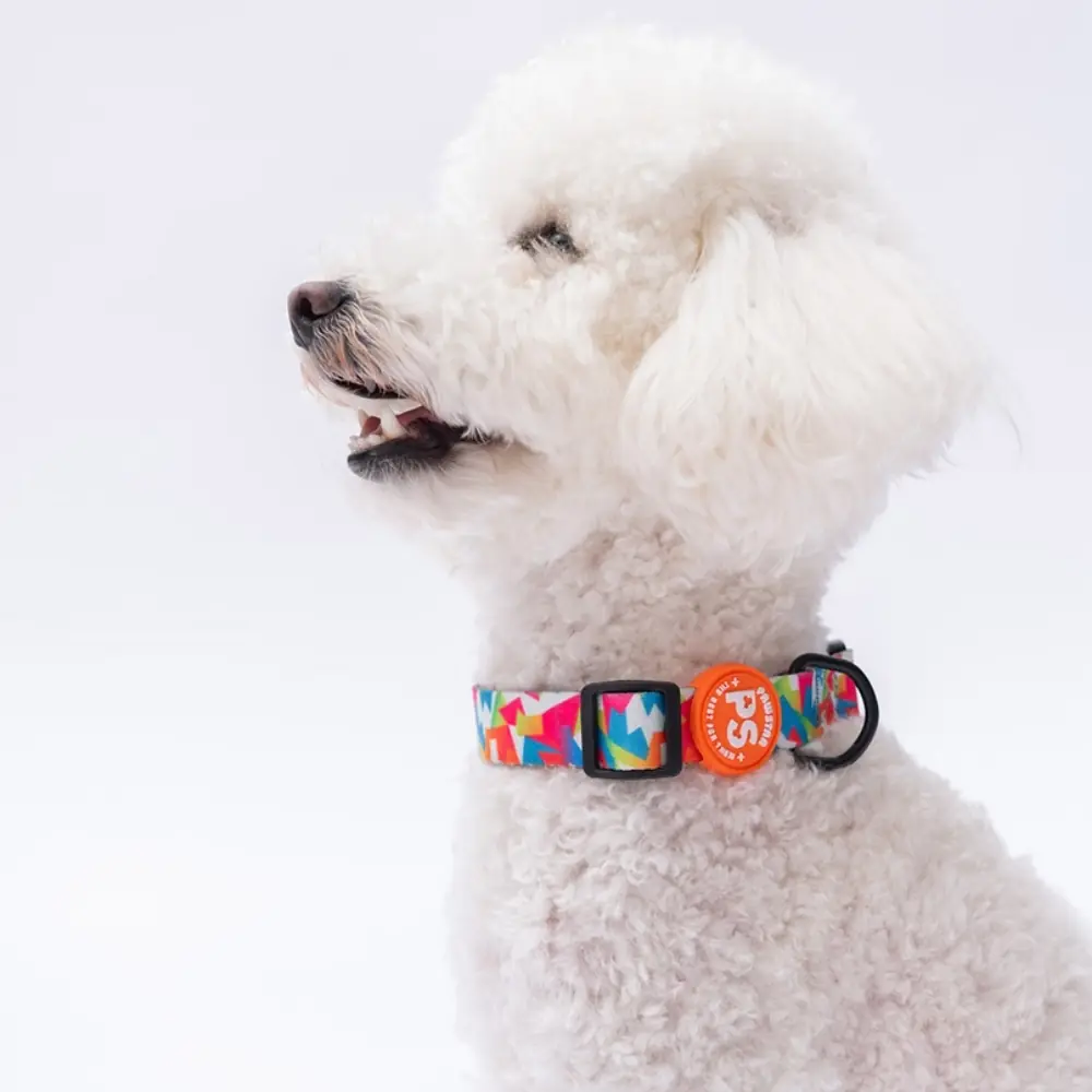 Mosaic Boyun Tasması M Beden - DC26-1