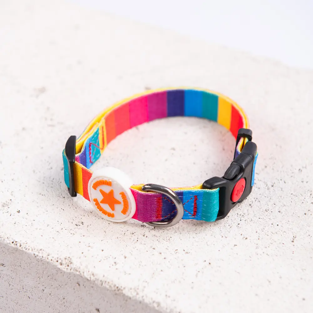 Rainbow Boyun Tasması M Beden - DC36-2