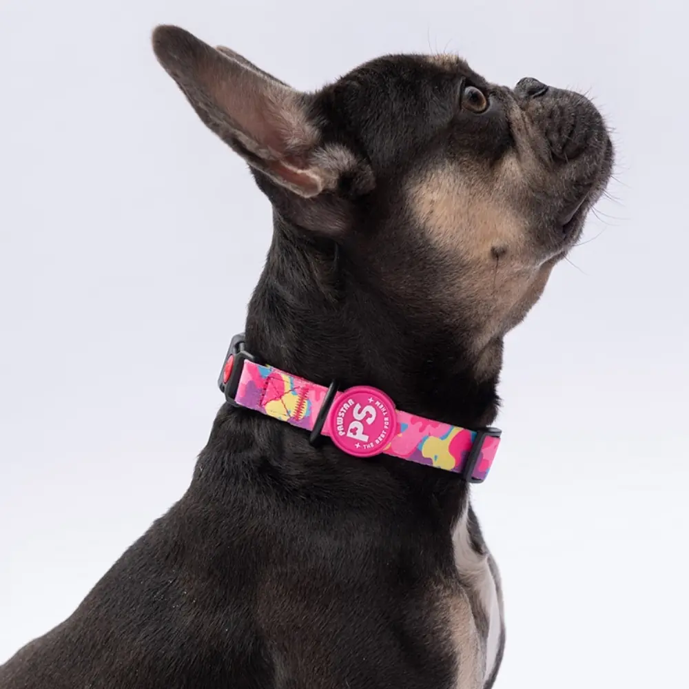 Rosea Camouflage Boyun Tasması M Beden - DC18-1