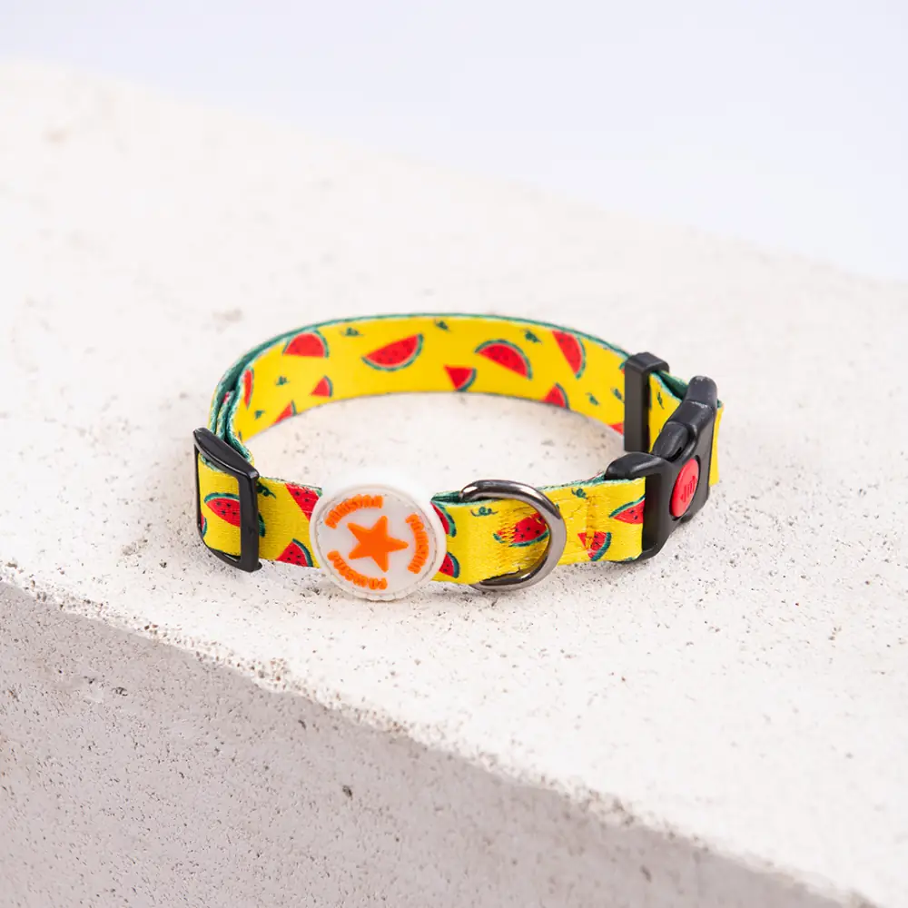 WaterMelon Boyun Tasması S Beden - DC32-2