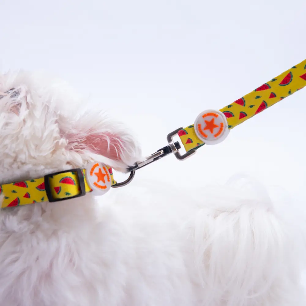 WaterMelon Boyun Tasması S Beden - DC32-3