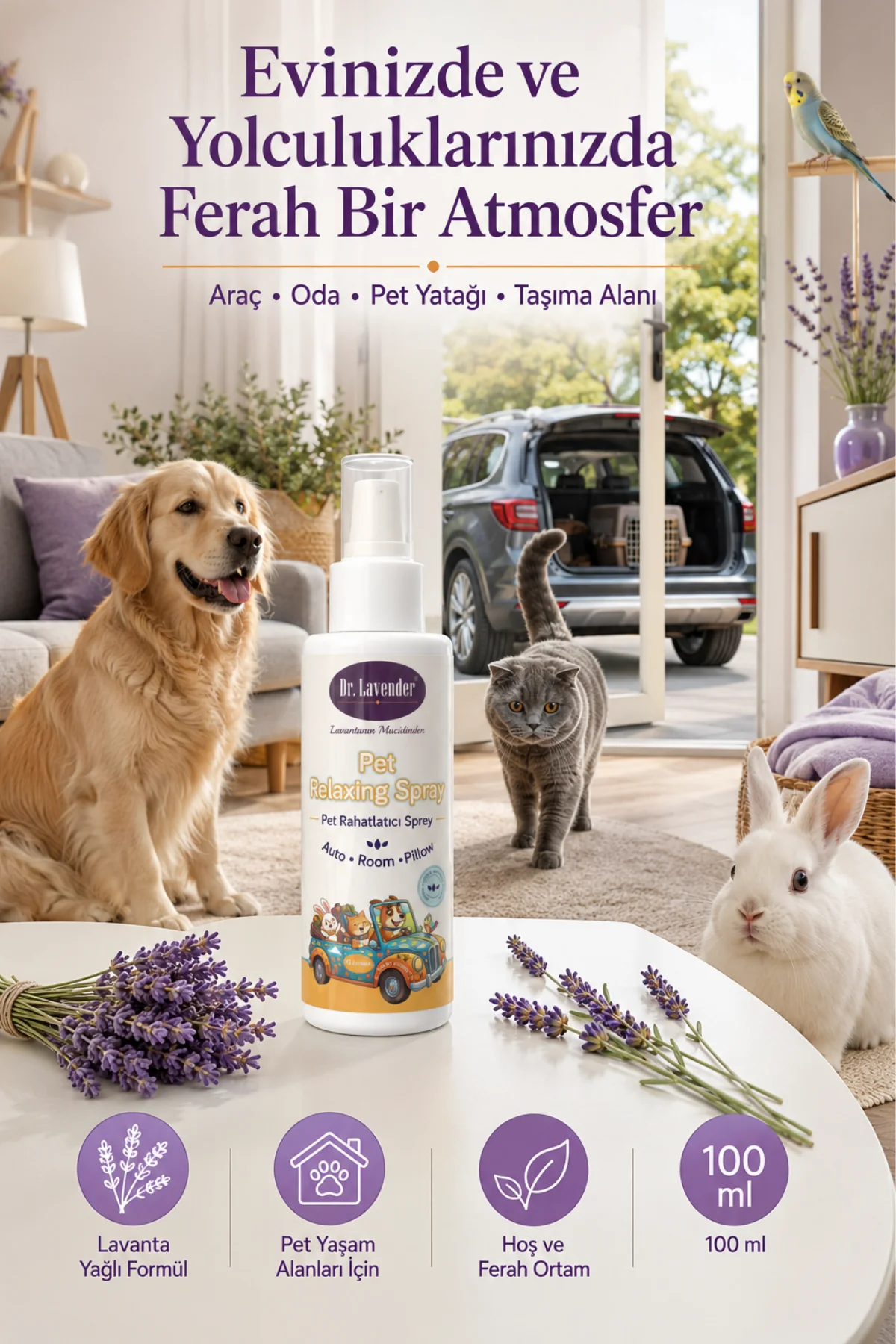 Pet Rahatlatıcı Sprey Lavanta Yağlı Ortam Spreyi 100 ml | Araç, Oda ve Pet Yaşam Alanları İçin-2