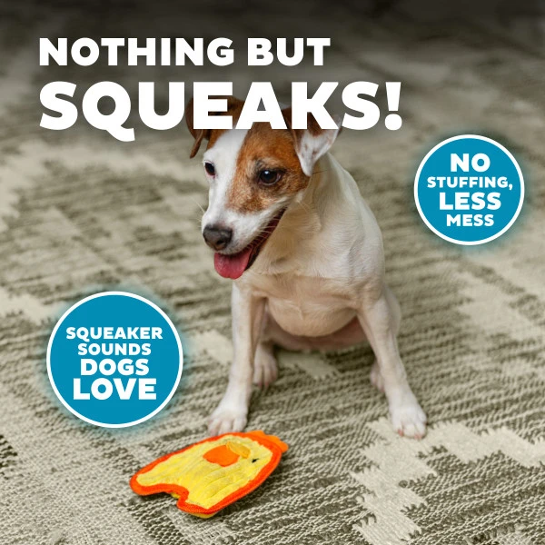 Petstages Durablez Chicky Ylw XS Köpek Oyuncağı - 67805-3