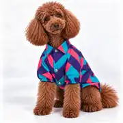 Retro 80–90’s Geometrik Desenli Köpek Ceketi L Beden-1