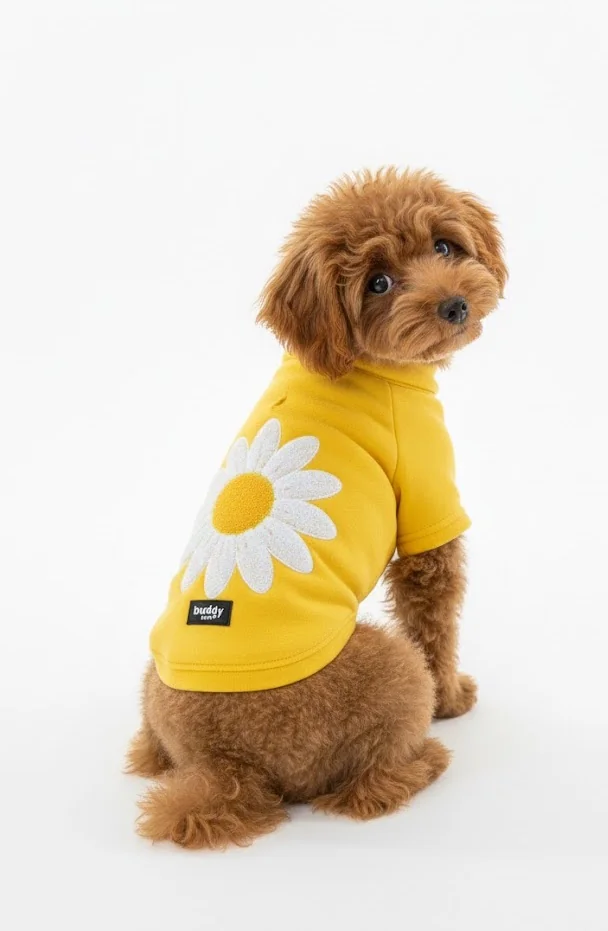 Sarı Hakim Yaka Comfort Fit Köpek Sweat Ceketi (WarmFlex Koleksiyonu) XS Beden -1