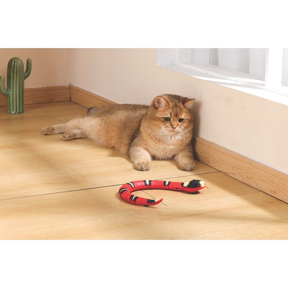 Sneaky Snake İnteraktif Kedi Oyuncağı Brsp-20642099-4