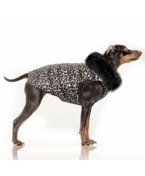 Tıssıa Leopar Desenli Sweat -2